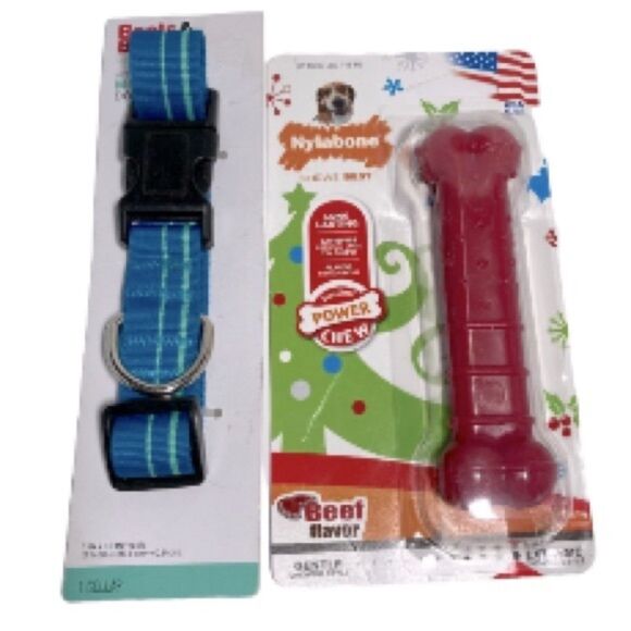 Dog Collar Blue with Teal Stripes by Boots & Barkley Medium and Red Nylabone NEW - Picture 1 of 7